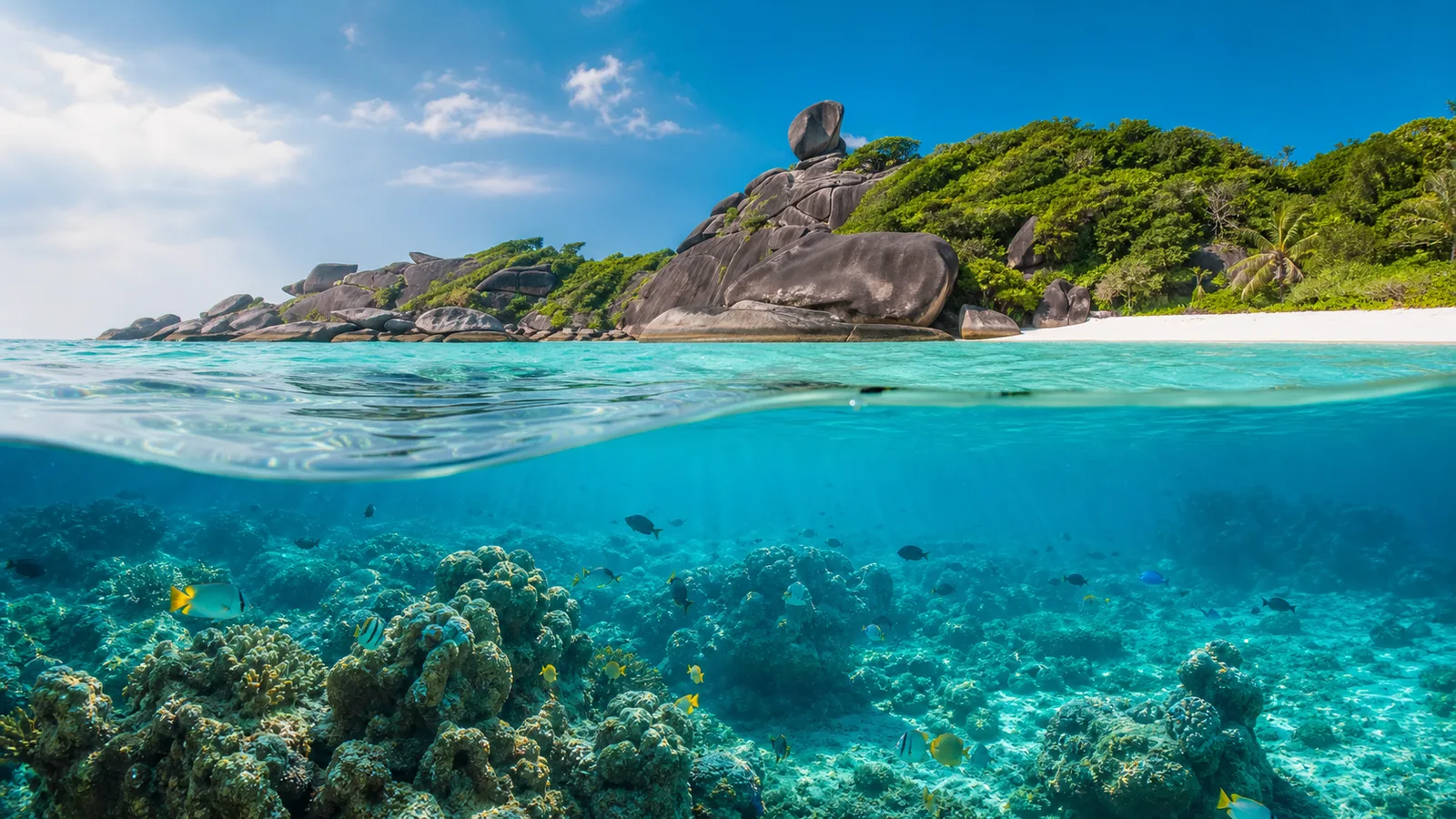 Aerial view of clear Andaman water and island scenery